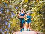 Hanoi City Trail open for runners