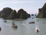 Hạ Long Bay fights to win back tourists amid pandemic losses