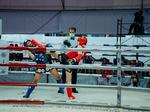 Thái Nguyên native adds Muay Thai World Championship gold to her collection
