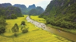 Ninh Bình protects biodiversity for sustainable future