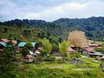 Kon Tum opens new community-based tourism village