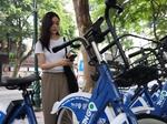 Grinding my gears: cycling's shortcomings in Việt Nam
