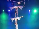 Vietnamese Circus wins award at Russia's largest international circus festival