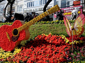 Đà Lạt Flower Festival to welcome more than one million visitors