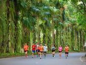 Ecopark City Trail offers race-cation experience for runners