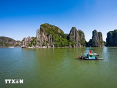 Hạ Long Bay - Cát Bà Archipelago recognised as World Geological Heritage