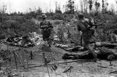 Turning point of the war: 1968 Tết Offensive