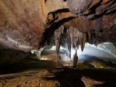 Quảng Bình debuts new tours to magnificent cave
