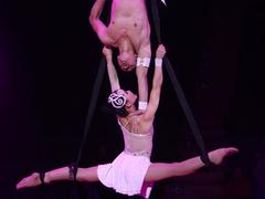 Circus talents awarded