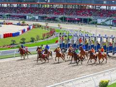 South Korean firm to build horse racetrack in Sóc Sơn