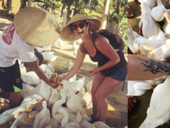 Try a duck massage in Quảng Bình Province