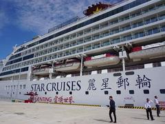 Cruise tourism yet to take off