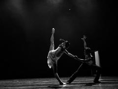 Show features classic and contemporary dance