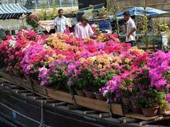 Flower growers hope to reap Tết rewards