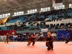 Vietnamese martial arts federation makes debut in Algeria