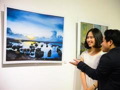 Exhibition held for non-professional artists in Hà Nội