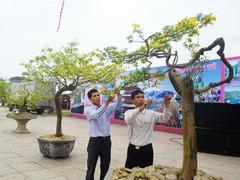 Flower festival held in coastal city