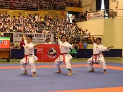 Karatekas dominate regional tourney