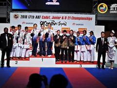 VN win gold, rank 8th in karate championship