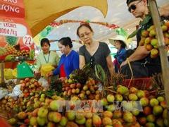 HCM City theme park set to host Southern Fruit Festival