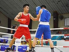 National Boxing Clubs Cup starts in Đắk Lắk