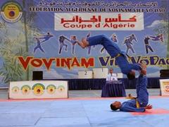 Vietnamese martial art Grand Prix held in Algeria