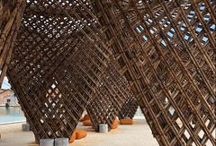 Việt Nam architect joins Venice Architecture Biennale