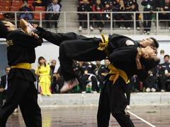 International Martial Arts Fest starts in HCM City