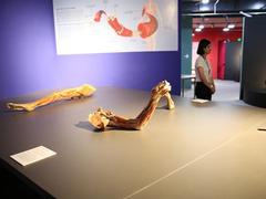Human body exhibit spurs outcry