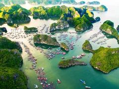 Thrillist names Lan Hạ Bay top place to visit