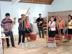 Nghe An music clubs preserve old Thai folk songs