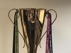 VTV wins rights to broadcast AFF Suzuki Cup 2018