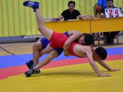 Nam Định to host national wrestling event