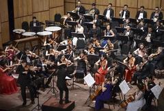 Saigon Philharmonic Youth Orchestra debuts in HCM City