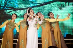 Free music gala, traditional dishes for Tết