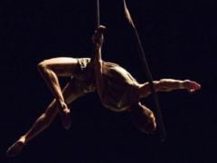 International circus festival to open in Hà Nội