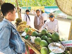 Fruit farms offer rural life experience