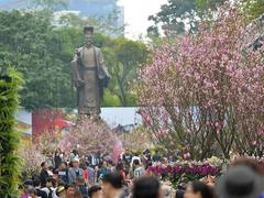 Japanese cherry blossom festival coming to Hà Nội