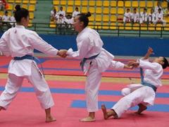 National youth karate champs to begin in Lâm Đồng