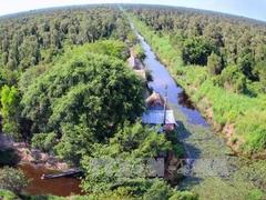Cà Mau to build eco-tourism zone in U Minh Hạ National Park
