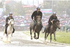Horse festival in Lào Cai to celebrate northern highlands culture, sports