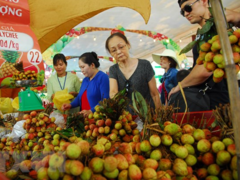 Suối Tiên Theme Park set for annual Southern Fruit Festival
