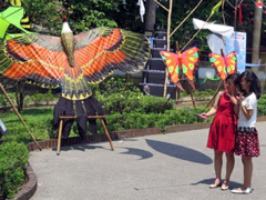 Huế to hold kite festival