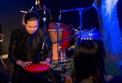 Top Vietnamese percussionist to perform the hang drums