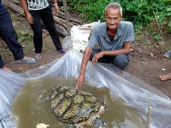 Endangered sea turtle found in fishing net