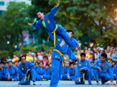 Traditional martial arts to be performed next week
