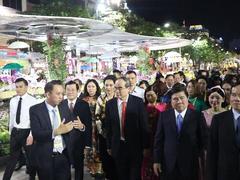 Annual Tết ‘flower road’ opens in HCM City