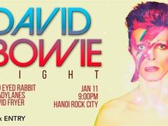 David Bowie Night at HRC