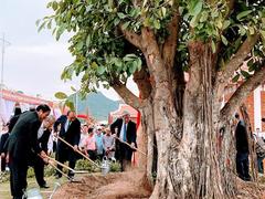PM opens ancient stake conservation site