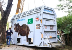 Wildlife on board: DHL safely relocates "the world’s loneliest elephant" 